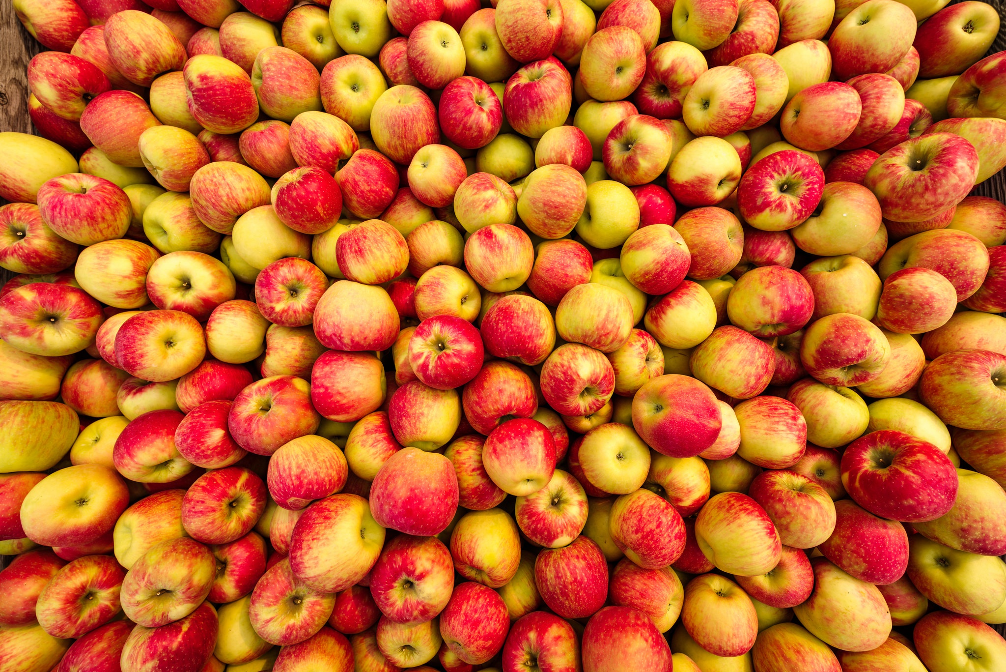 «Яблочный фестиваль: провожаем лето ярко» - (26 августа – 1 сентября)